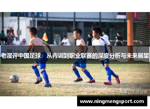 老湿评中国足球：从青训到职业联赛的深度分析与未来展望