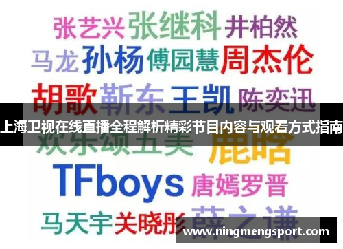 上海卫视在线直播全程解析精彩节目内容与观看方式指南