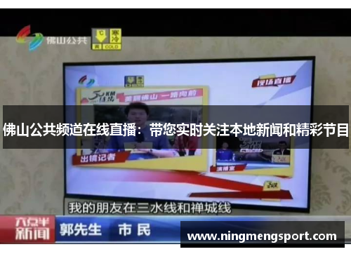 佛山公共频道在线直播：带您实时关注本地新闻和精彩节目