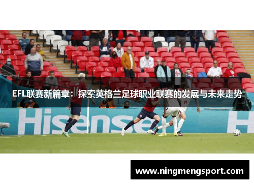 EFL联赛新篇章：探索英格兰足球职业联赛的发展与未来走势