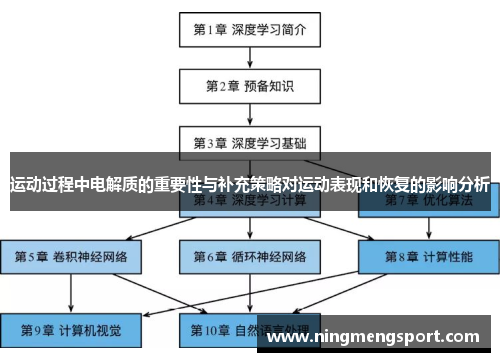 运动过程中电解质的重要性与补充策略对运动表现和恢复的影响分析