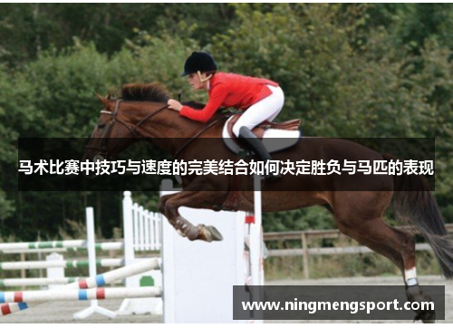 马术比赛中技巧与速度的完美结合如何决定胜负与马匹的表现