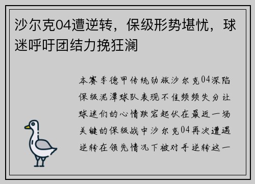 沙尔克04遭逆转，保级形势堪忧，球迷呼吁团结力挽狂澜